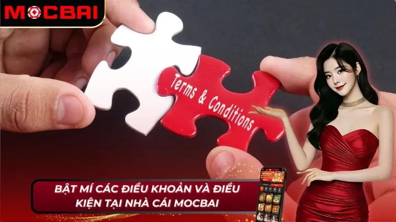 Bật mí các điều khoản và điều kiện Mocbai