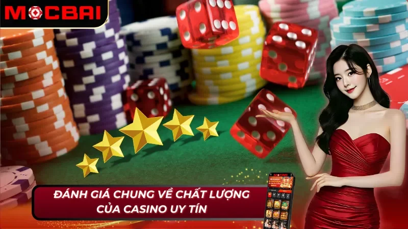 Giới thiệu Mocbai với các ưu điểm nổi bật 