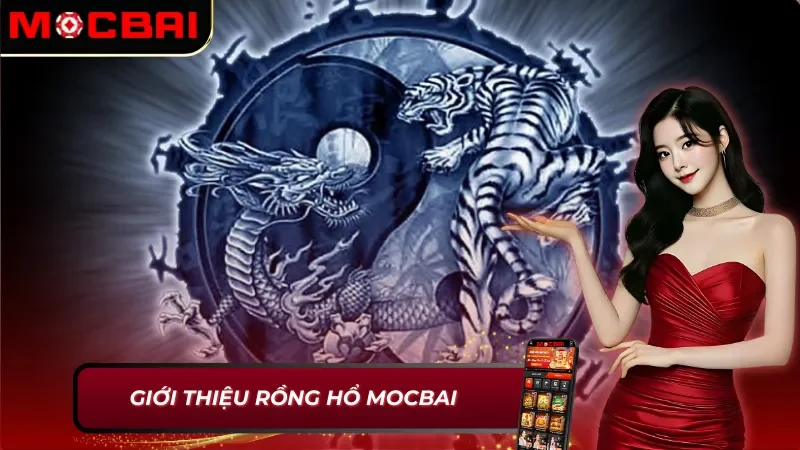 Thông tin chung về Rồng Hổ Mocbai